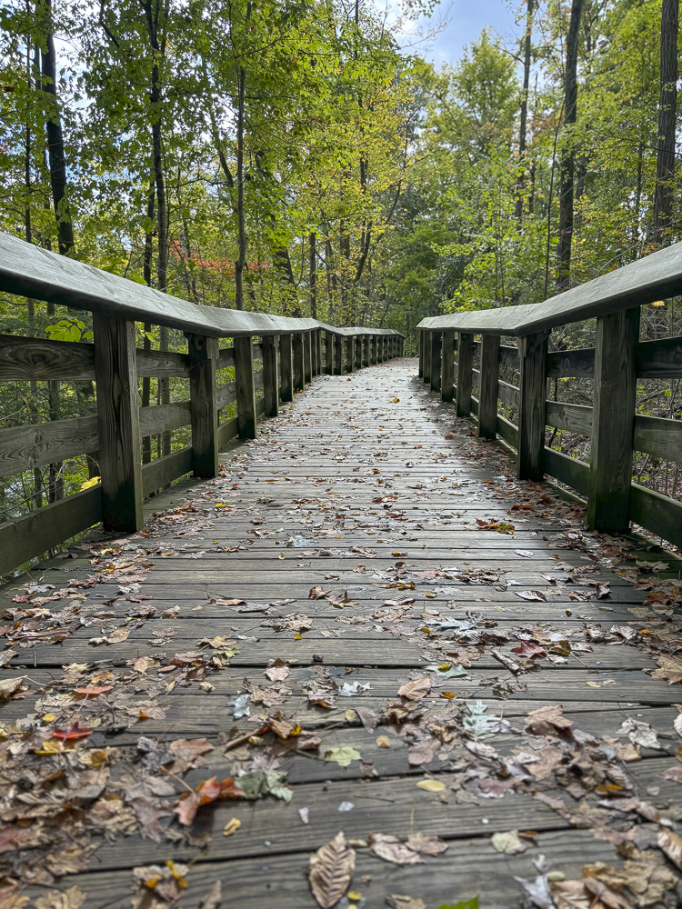 Brandywine Falls Boardwalk